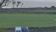 Peanut – 2 berth Volkswagen campervan from 2021