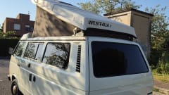 DANDY β VW T3 MITO SENZA TEMPO