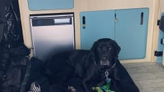 Ernie – 4 berth Volkswagen campervan from 2013