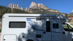 Mik – Bustner Delfin