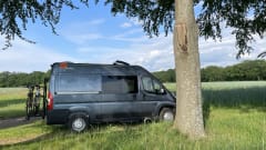 Roze Roadtripper – Camping-car bus modulable pour 4 personnes 