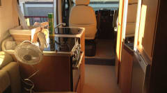 Bert the Boxer has been sold  – Bert the Boxer..... NON disponibile dal 23/8/21