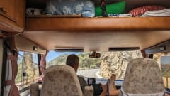 De bruine beer  – 5p Hymer integrated from 1992