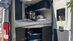 Camping-car 2 personnes (2024) McLouis Menfys Discovery Van 1