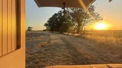 Tarzan  – VW-Campingbus mit 4 Schlafplätzen ab Baujahr 2018