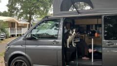 VW CamperVan T6 - Automatic LWB