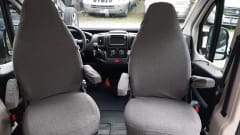 Petunia – The freedom to live in all the wonderful places.