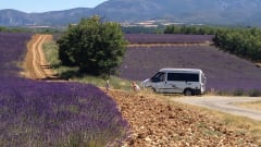 Sjaan – Auf Abenteuer mit dem komfortablen und umfangreichen Ford Nugget für 4 Personen!