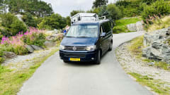 Blaue blitz – Wonderful original VW California 
