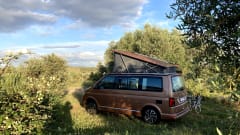 Copper Bronze – VW California Ocean T6.1