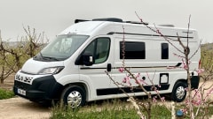 4p Benimar bus from 2026