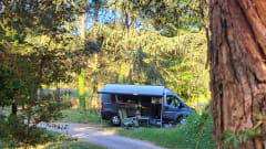 4p Family campervan from 2024