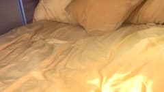 Bumblebee – 4 berth Ford campervan from 2019