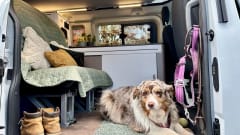 Campervan (2 to 4p) with bicycle rack (Ford Transit Bürstner Copa 500) 