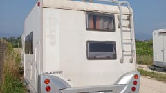 fedcamp – Camper Fiat Ducato Elnagh ( Duke ) cellula anno 2008