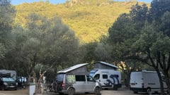 Saampjes – 4/5 Person Volkswagen T5 from 2012