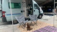 Billie – 2p Peugeot bus from 2000