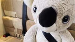 Nessie – Ein wunderschönes Swift Escape Wohnmobil mit 6 Schlafplätzen :)