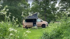 SK71 YFA – Volkswagen California T6.1 Copper Colour