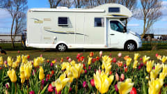 Rimor Katamarano 9 | Alcove | 2013 | 7 places | 3 bunk bed