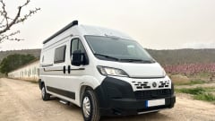 4p Benimar bus from 2026