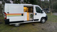 Combi Fiat 2 places de 2008