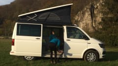 Fitty The Beagle – Volkswagen California Coast