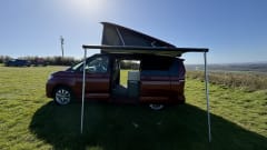  Betty – Volkswagen California Ocean EHybrid 2025 met 4 slaapplaatsen