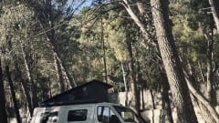 Super nice 4x4 Mercedes bus camper
