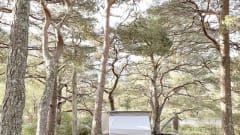 Bongo – Voor alle beginnende bongonauten