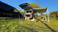 Violet – Luxury Top Spec VW  California -Angel Islington London