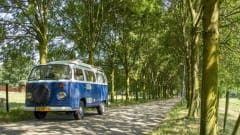 Brutus – Volkswagen Brutus