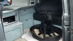 Coop – 4 berth T6 2019 Volkswagen campervan