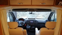 Willie – The Normal One