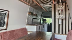 Ziggy – 3-seater Volkswagen bus from 2009