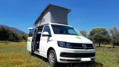 "CARMELA" VW T6 CALI BEACH CAMPER – Flamenco Campers, Rent a camper, explore Andalusia.