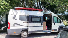  Swan – Nuovo Bravia 636 Swan