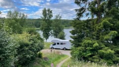Boas – Boas wants to go on an adventure with you (max 4 adults)!