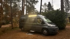 1-seater Citroën bus from 2008