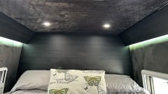 Holly – 2/3 berth Volkswagen campervan from 2023