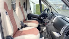 Bumblebee – Top Kastenwagen