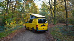 Bert – 4p Volkswagen campervan 