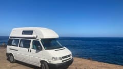 Pepita – T4 California Exclusive