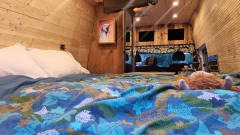 Ethel – 2 berth Ford campervan from 2013
