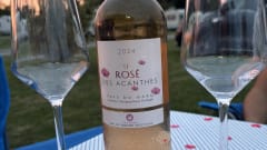 Sofie's Roadhouse – 4p Roller Team integrated from 2024