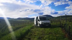 Converted bus - Renault Master 2010