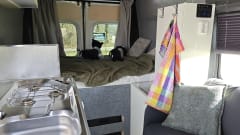 2p Peugeot bus uit 2008