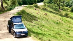 Californiacation – Volkswagen California uit 2025