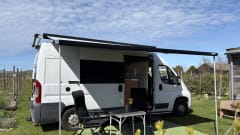 Autobus Fiat a 3 posti del 2015