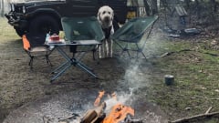 𝗘𝗹 𝗠𝗮𝘁𝗲𝗿𝗱𝗼𝗿 – El Materdor – Daihatsu F20 mit Dachzelt – Jeep aus dem Jahr 1980 🏔️🏕️🌌